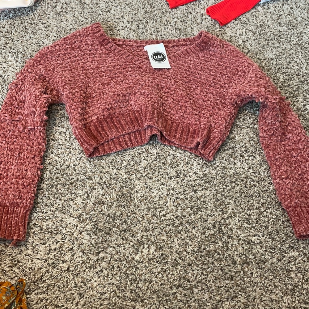 Wild Honey cropped sweater